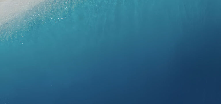 overivew-banner-background